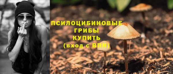 2c-b Алзамай