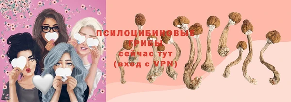 2c-b Алзамай