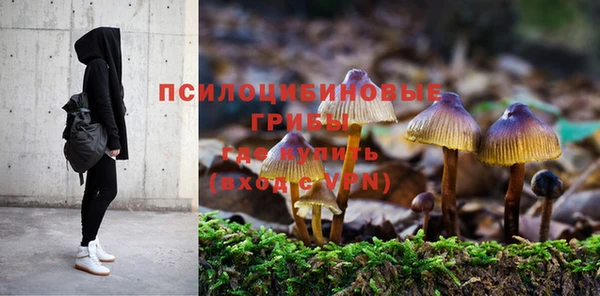 герыч Алексин