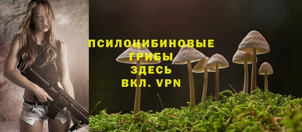 mix Приозерск