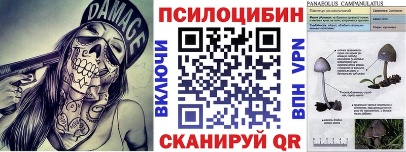 Псилоцибиновые грибы Psilocybine cubensis  где купить наркотик  Западная Двина 